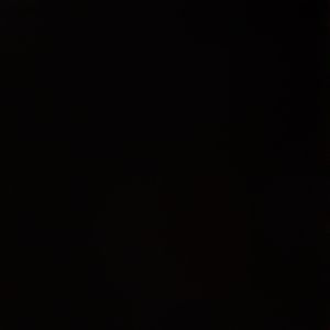 Meet your Posher, Jackson